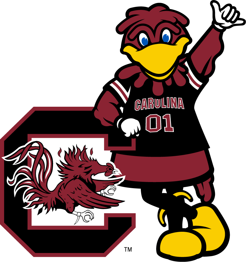 South Carolina Gamecocks 2014-2018 Mascot Logo diy DTF decal sticker